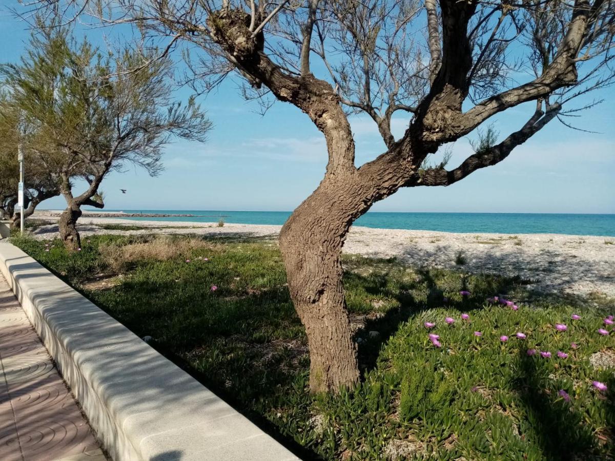 Апартаменти Paradise Moncofa Con Aire Acondicionado Y Wifi Gratis Екстер'єр фото